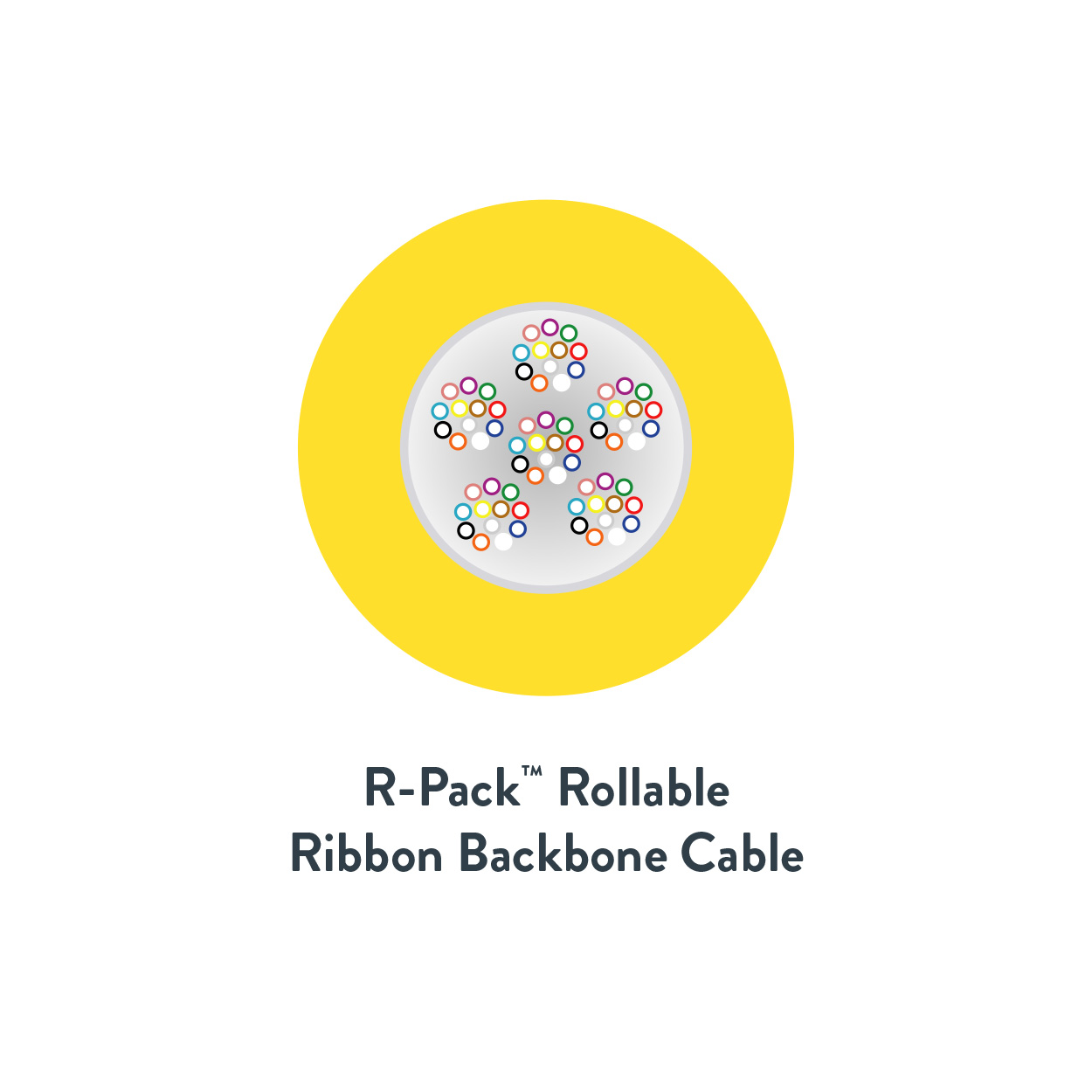 R-Pack_Rollable_Ribbon_Cable